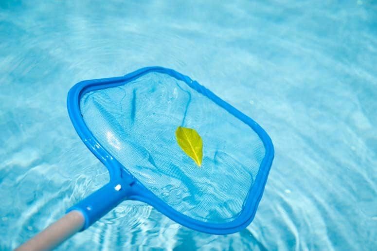 swimming-pool-leaf-net-ss swimming-pool-leaf-net-ss